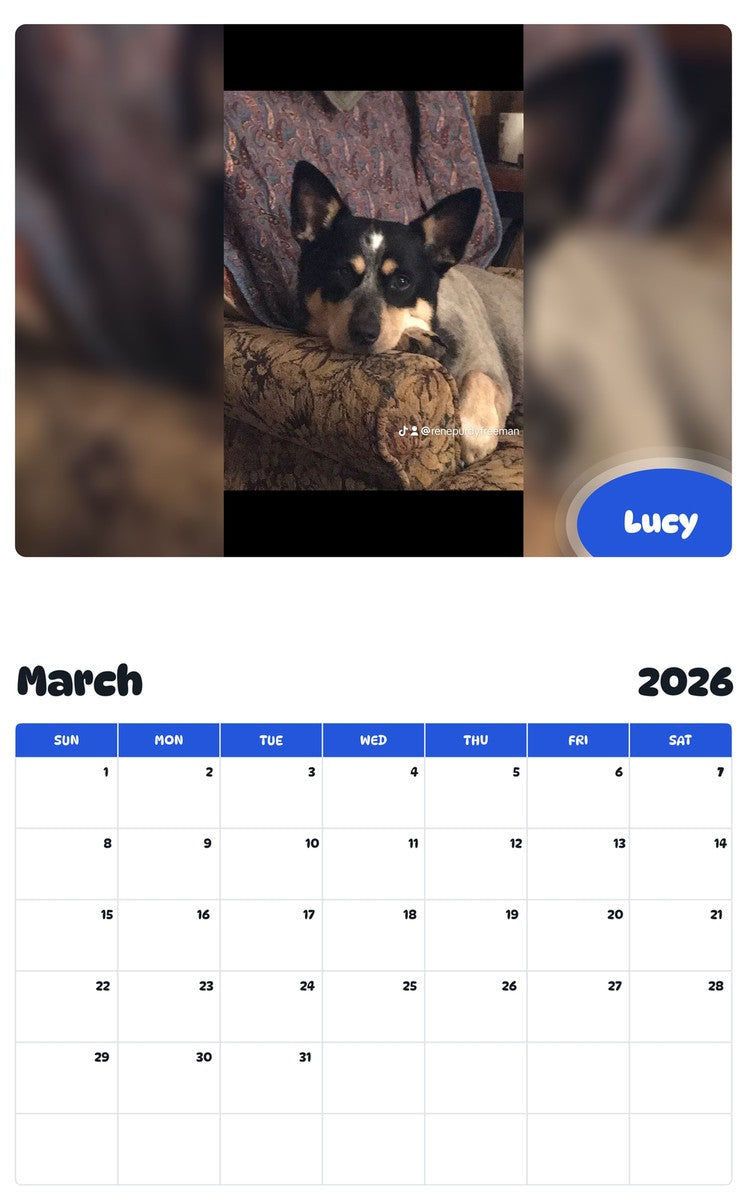 November 2025 - October 2026 Lucy - Pawidols Pet Calendar