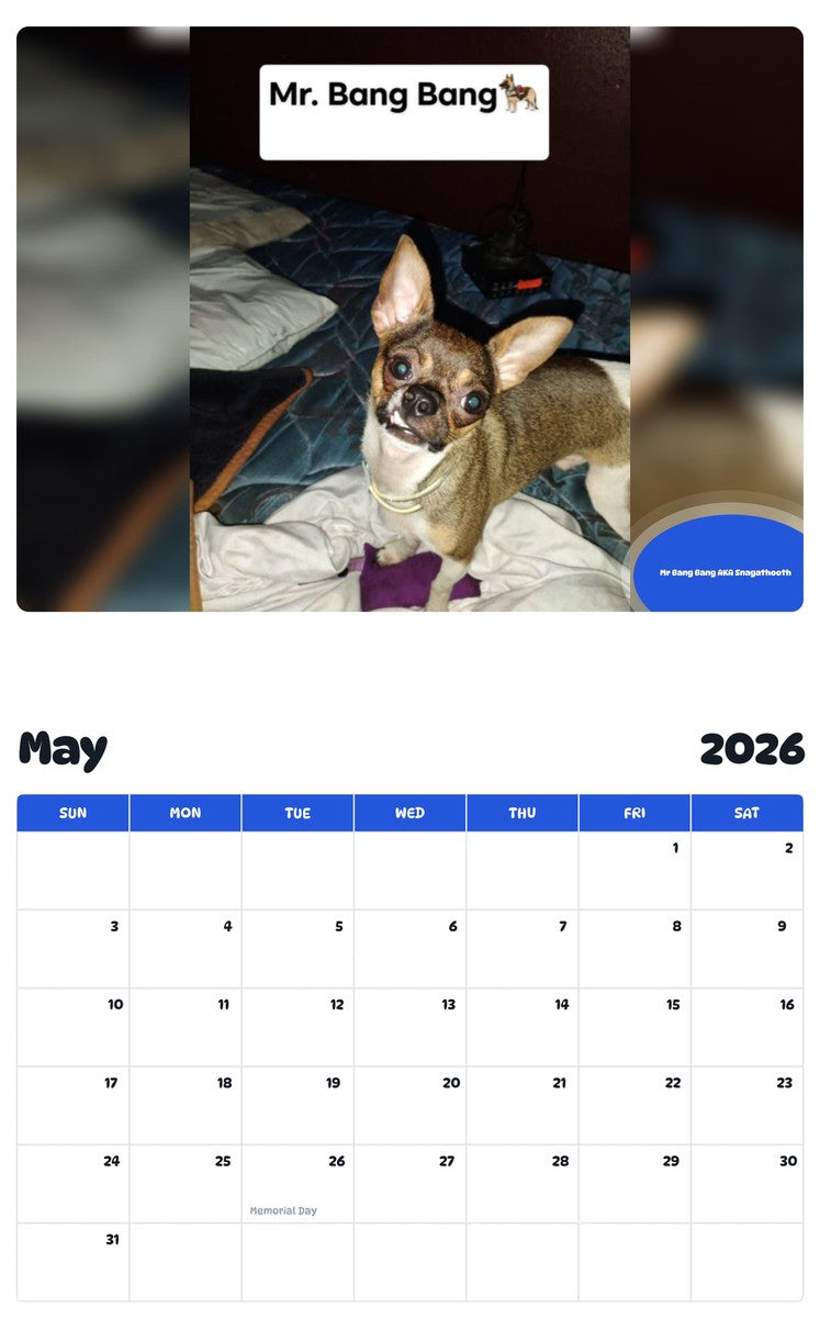 2026 - 2027 Mr Bang Bang AKA Snagathooth - Pawidols Pet Calendar