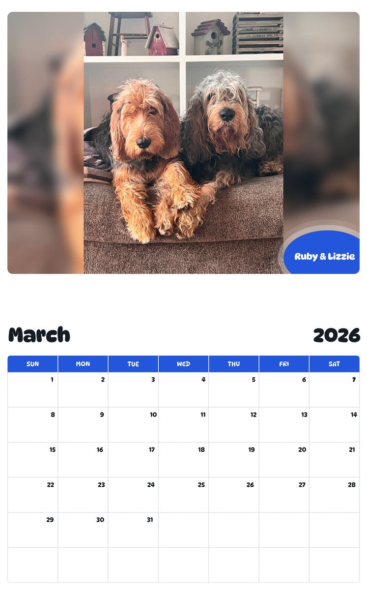 November 2025 - October 2026 Ruby & Lizzie - Pawidols Pet Calendar