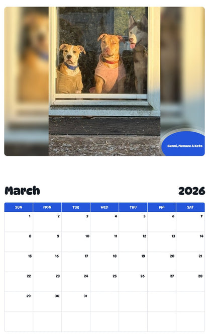 November 2025 - October 2026 Genni, Menace & Kota - Pawidols Pet Calendar
