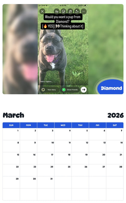 November 2025 - October 2026 Diamond - Pawidols Pet Calendar
