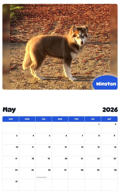 2026 - 2027 Winston - Pawidols Pet Calendar