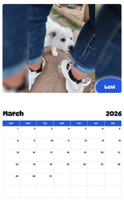 November 2025 - October 2026 Levi - Pawidols Pet Calendar