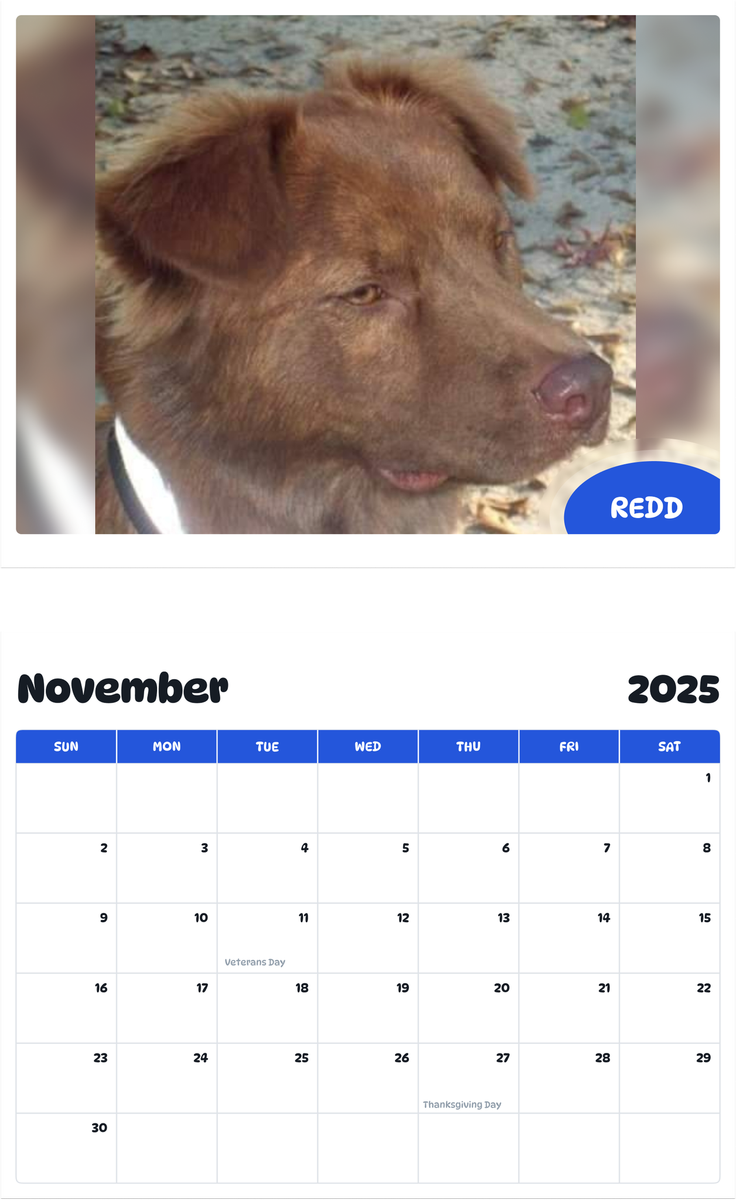 July 2025 - June 2026 Redd - Pawidols Pet Calendar