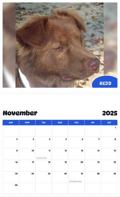 July 2025 - June 2026 Redd - Pawidols Pet Calendar