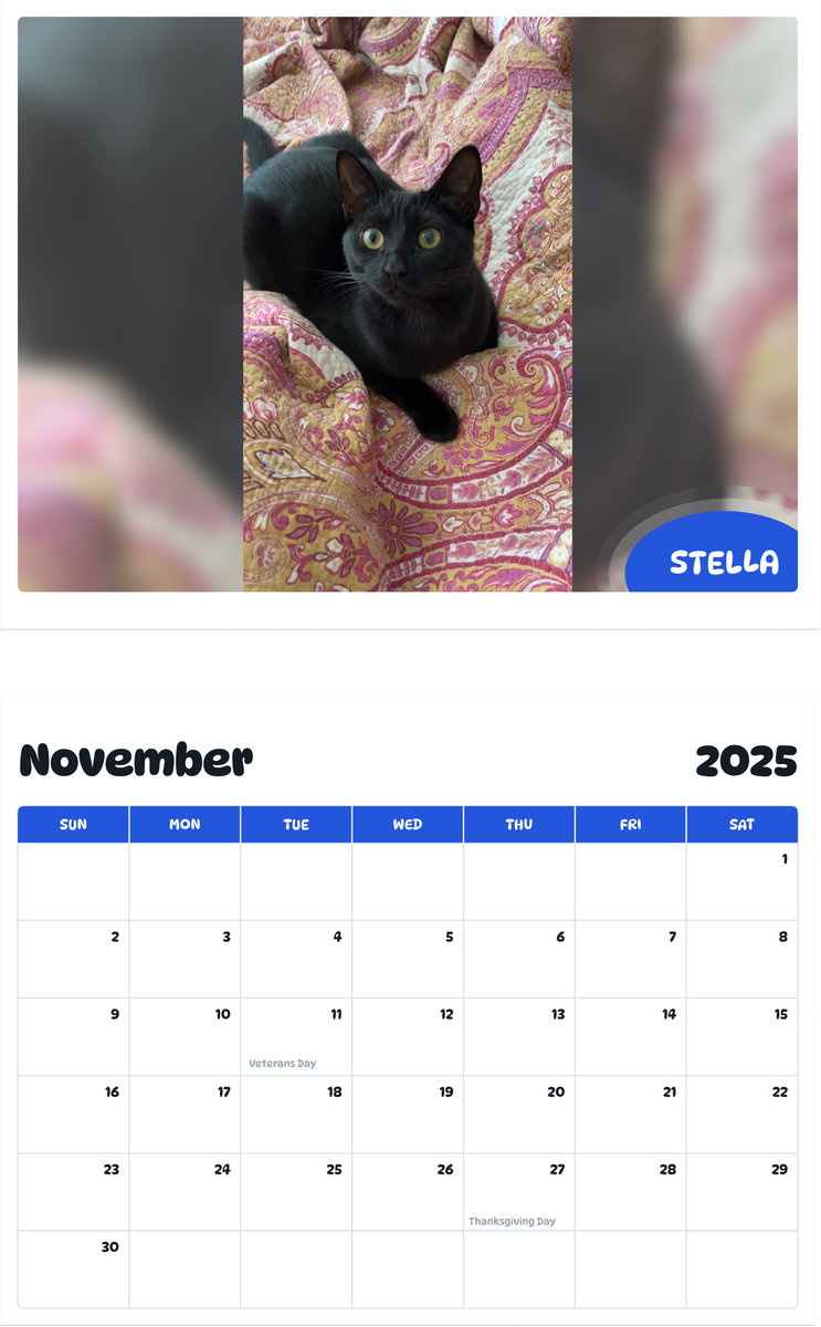 July 2025 - June 2026 Stella - Pawidols Pet Calendar