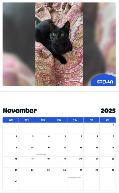July 2025 - June 2026 Stella - Pawidols Pet Calendar