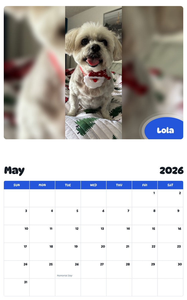 2026 - 2027 Lola - Pawidols Pet Calendar