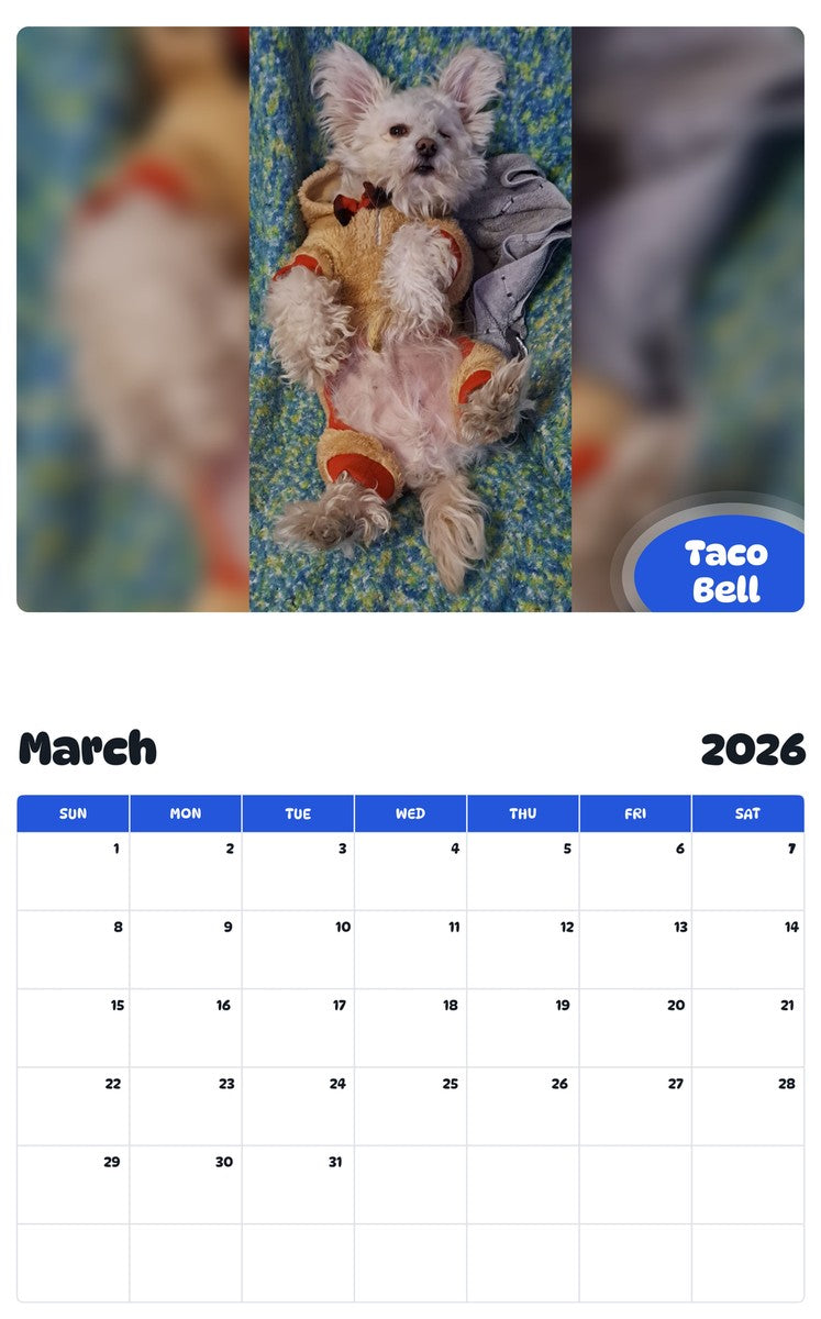 November 2025 - October 2026 Taco Bell - Pawidols Pet Calendar