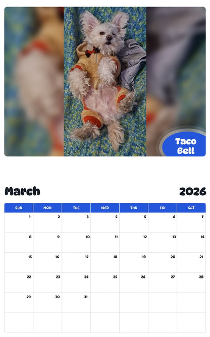 November 2025 - October 2026 Taco Bell - Pawidols Pet Calendar
