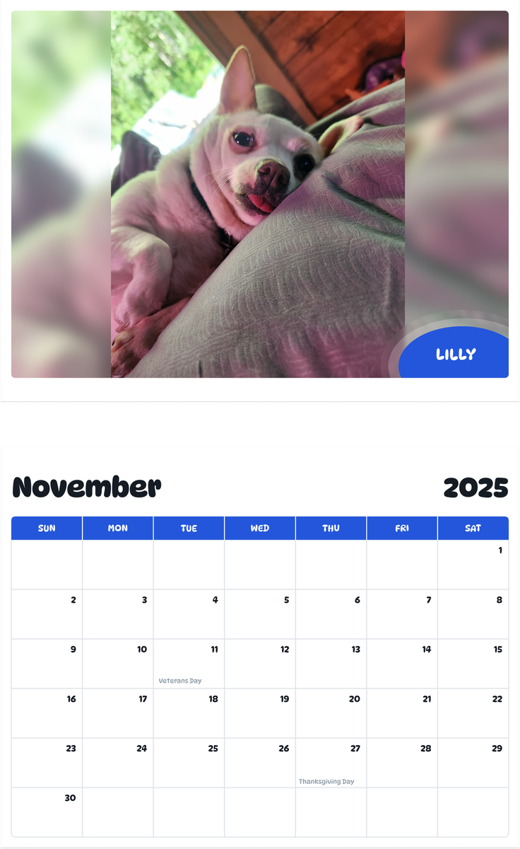 July 2025 - June 2026 Lilly - Pawidols Pet Calendar