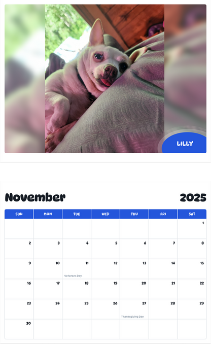 July 2025 - June 2026 Lilly - Pawidols Pet Calendar