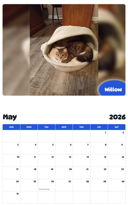 2026 - 2027 Willow - Pawidols Pet Calendar
