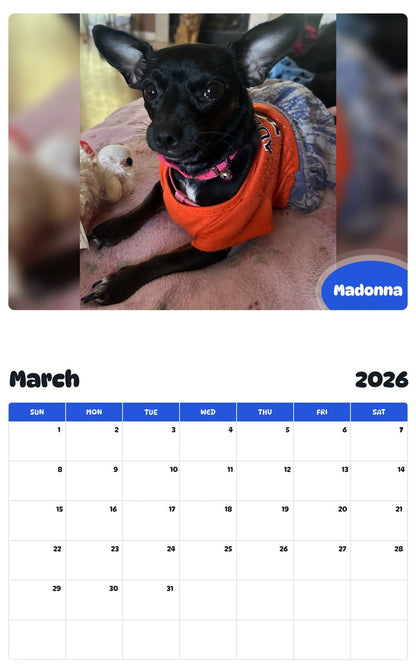 November 2025 - October 2026 Madonna - Pawidols Pet Calendar