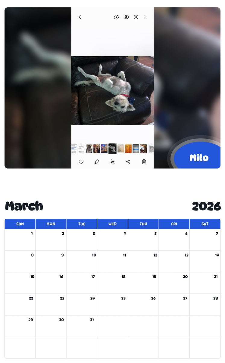 November 2025 - October 2026 Milo - Pawidols Pet Calendar
