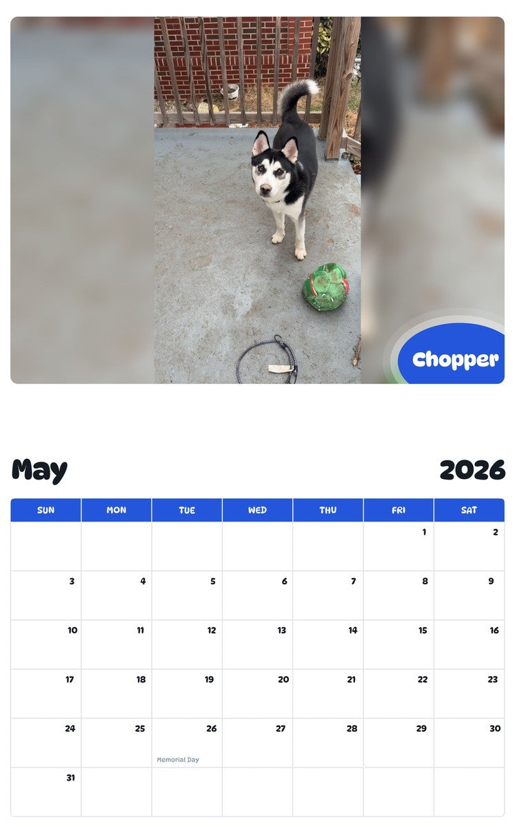 2026 - 2027 Chopper - Pawidols Pet Calendar