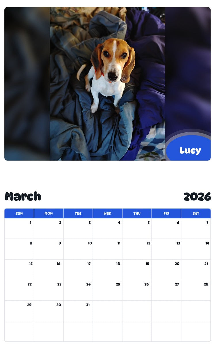 November 2025 - October 2026 Lucy - Pawidols Pet Calendar