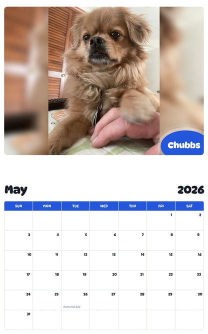 2026 - 2027 Chubbs - Pawidols Pet Calendar
