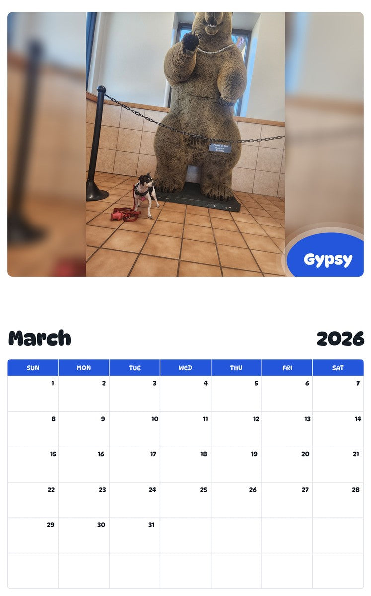 November 2025 - October 2026 Gypsy - Pawidols Pet Calendar