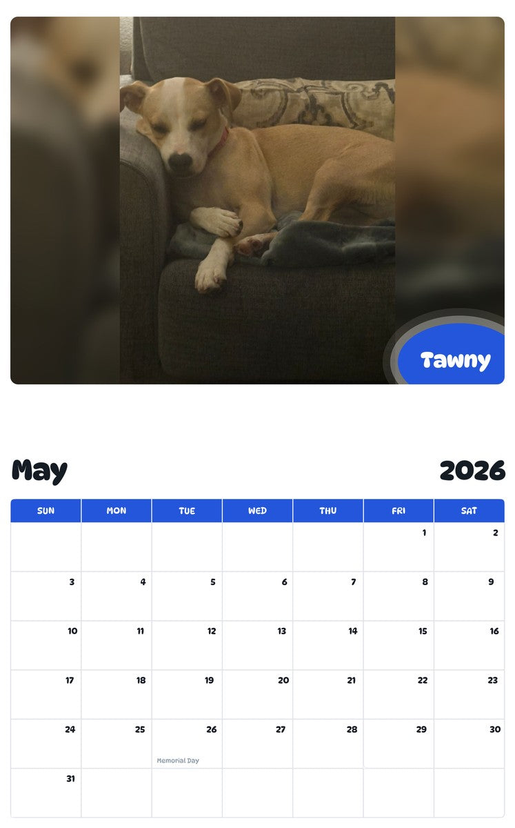2026 - 2027 Tawny - Pawidols Pet Calendar