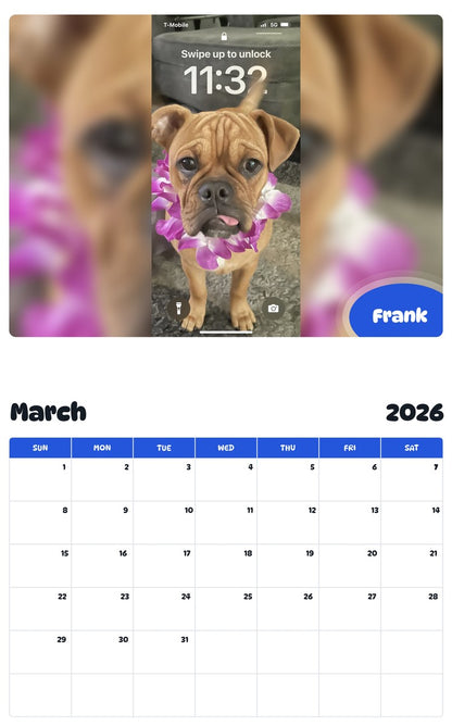 November 2025 - October 2026 Frank - Pawidols Pet Calendar