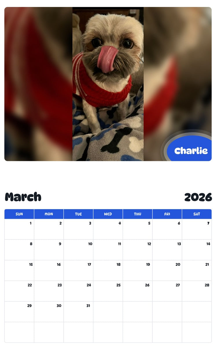 November 2025 - October 2026 Charlie - Pawidols Pet Calendar