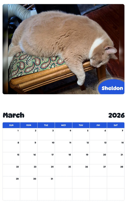 November 2025 - October 2026 Sheldon - Pawidols Pet Calendar
