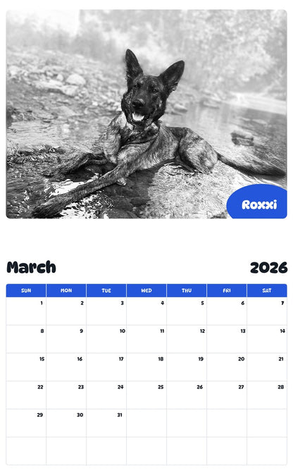 November 2025 - October 2026 Roxxi - Pawidols Pet Calendar