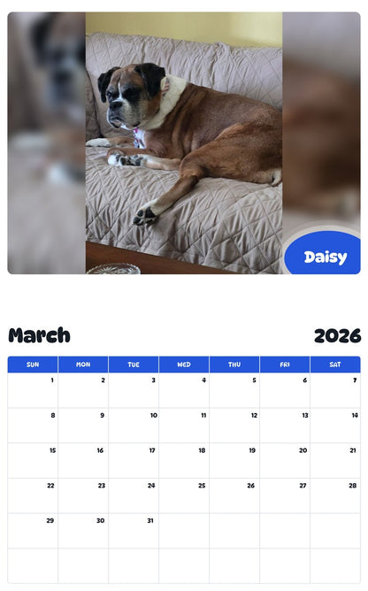 November 2025 - October 2026 Daisy - Pawidols Pet Calendar