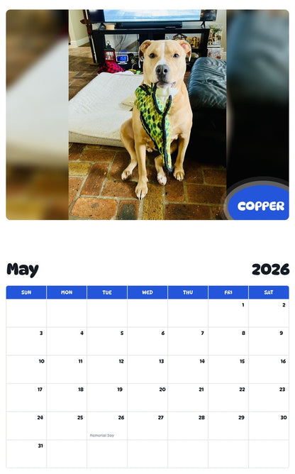 2026 - 2027 COPPER - Pawidols Pet Calendar