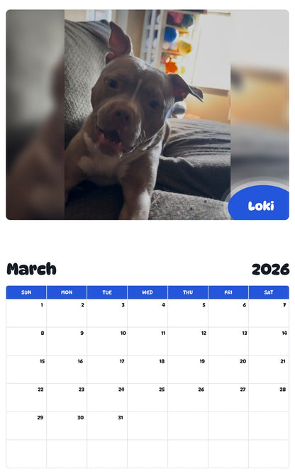 November 2025 - October 2026 Loki - Pawidols Pet Calendar