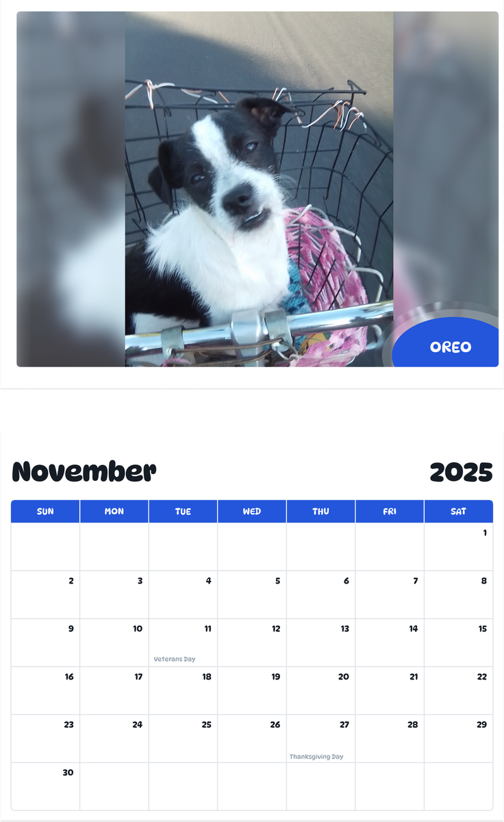 July 2025 - June 2026 Oreo - Pawidols Pet Calendar