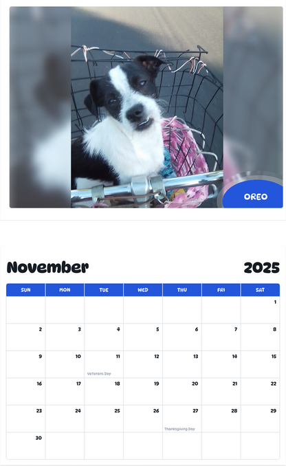 July 2025 - June 2026 Oreo - Pawidols Pet Calendar