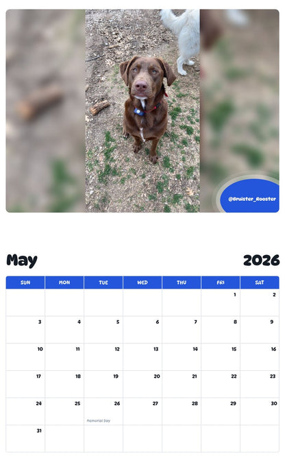 2026 - 2027 @Bruister_Rooster - Pawidols Pet Calendar