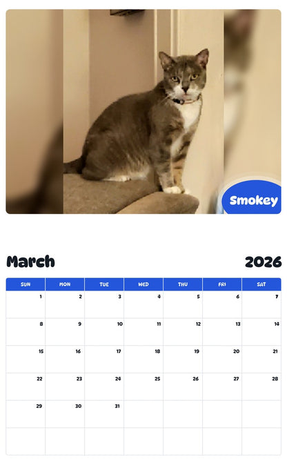 November 2025 - October 2026 Smokey - Pawidols Pet Calendar