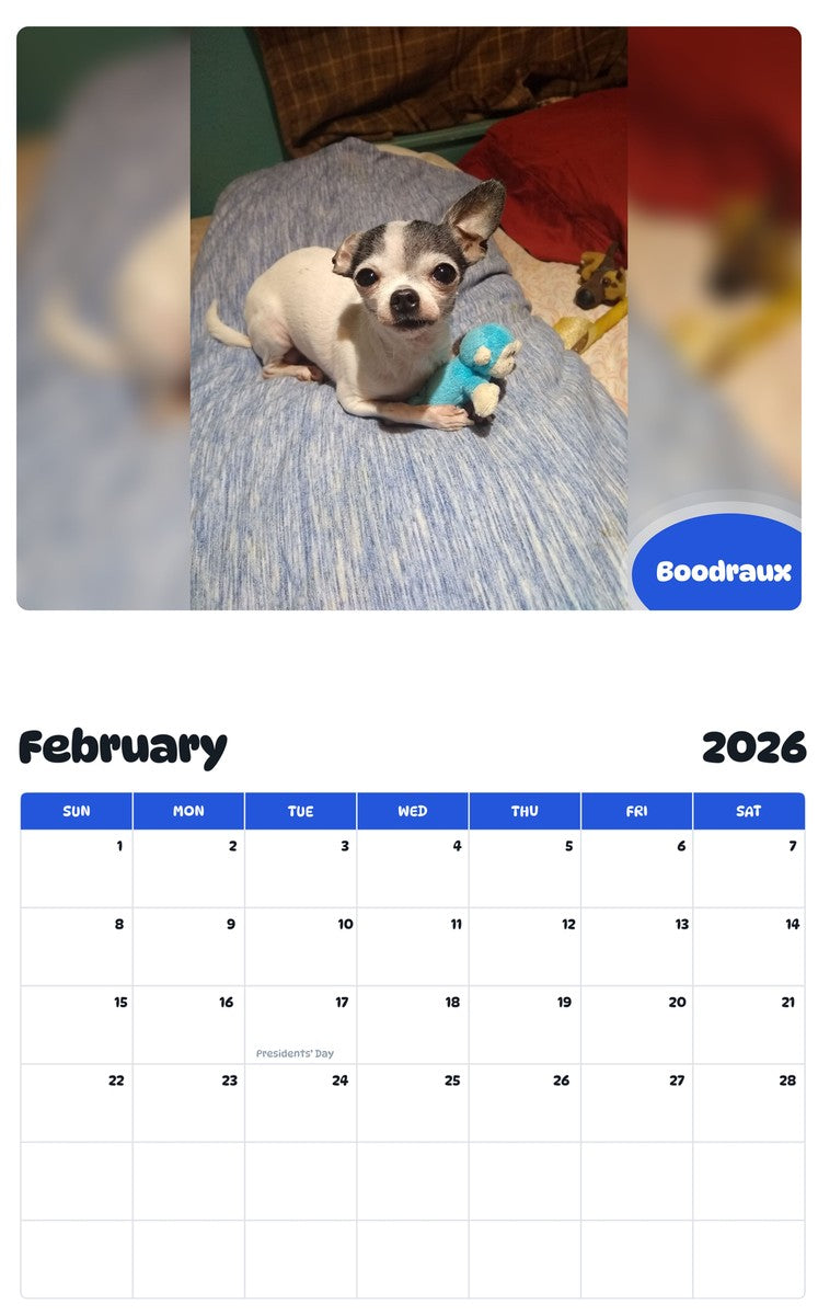 October 2025 - September 2026 Boodraux - Pawidols Pet Calendar