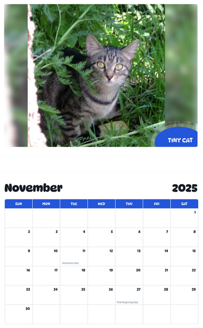 July 2025 - June 2026 Tiny Cat - Pawidols Pet Calendar