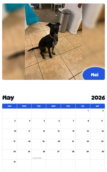 2026 - 2027 Mei - Pawidols Pet Calendar