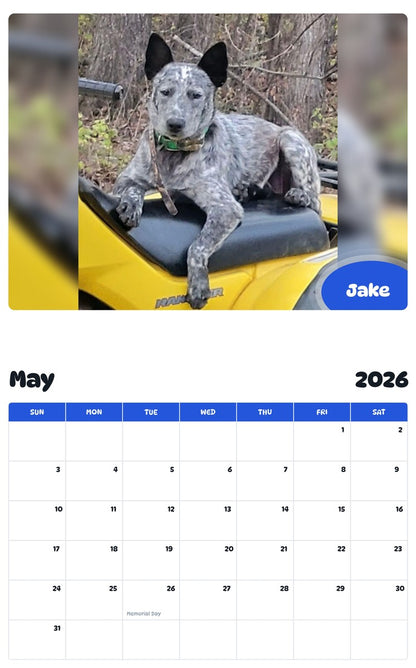 2026 - 2027 Jake - Pawidols Pet Calendar