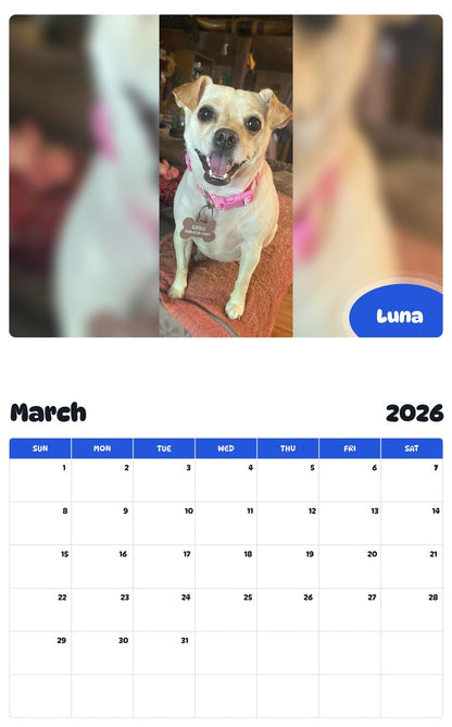 November 2025 - October 2026 Luna - Pawidols Pet Calendar