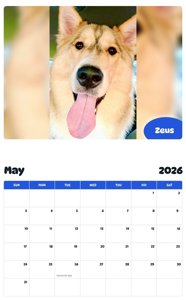 2026 - 2027 Zeus - Pawidols Pet Calendar