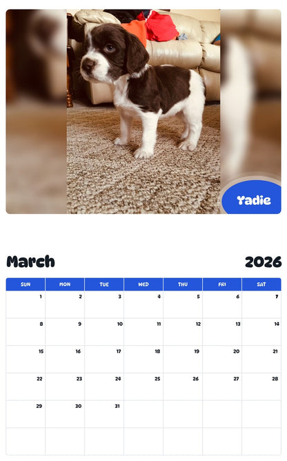 November 2025 - October 2026 Yadie - Pawidols Pet Calendar