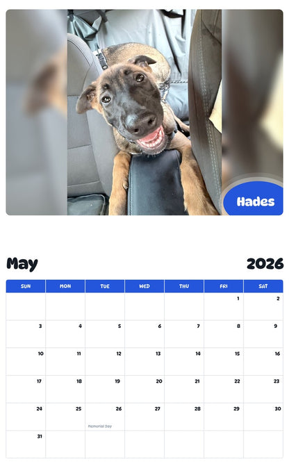 2026 - 2027 Hades - Pawidols Pet Calendar