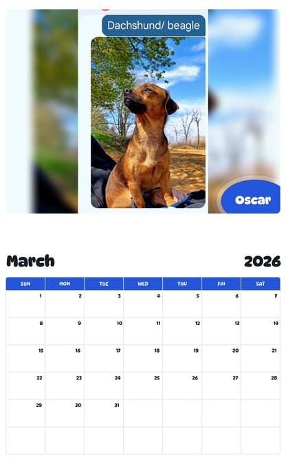 November 2025 - October 2026 Oscar - Pawidols Pet Calendar