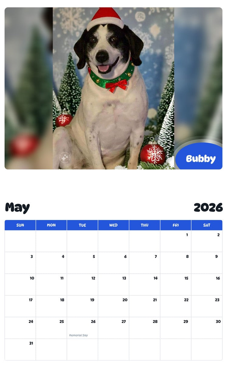 2026 - 2027 Bubby - Pawidols Pet Calendar