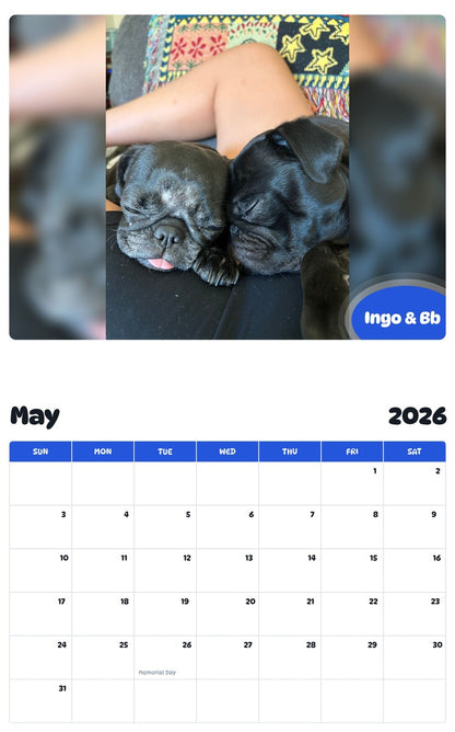 2026 - 2027 Ingo & Bb - Pawidols Pet Calendar