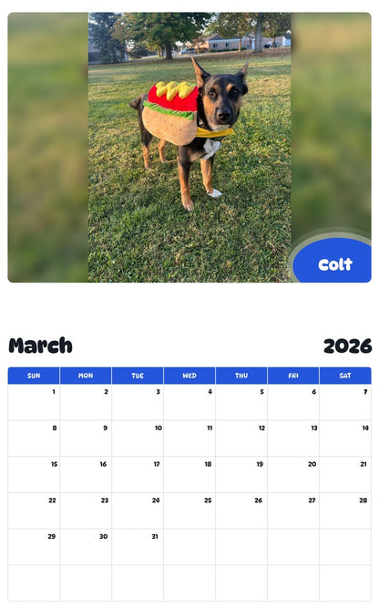 November 2025 - October 2026 Colt - Pawidols Pet Calendar