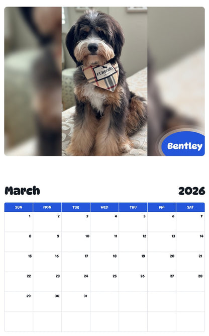 November 2025 - October 2026 Bentley - Pawidols Pet Calendar