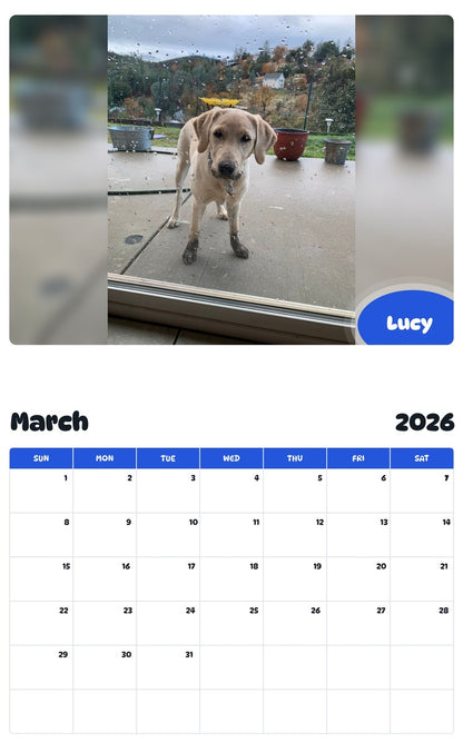November 2025 - October 2026 Lucy - Pawidols Pet Calendar