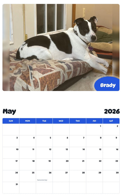 2026 - 2027 Brady - Pawidols Pet Calendar